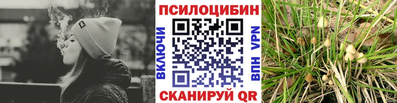 Псилоцибиновые грибы GOLDEN TEACHER Лесной